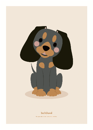 Dachshund