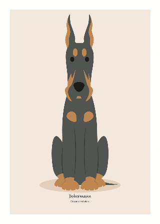 Dobermann