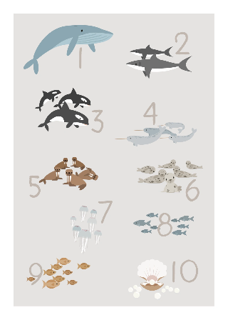 Forhåndsvisning av Plakater: Tall og havdyr