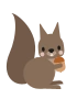 Ekorn