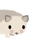 Pinnsvin