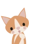 Katt