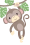 Ape