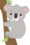 Koala i tre