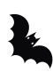 Flaggermus