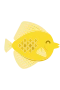 Gul kirurgfisk
