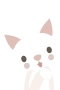 Hvit katt