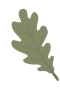 Eikeblad