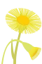Hestehov