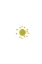 Hvitveis