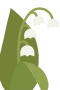 Liljekonvall