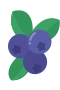 Blåbær