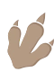 Dinopote 1