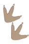 Dinopote 2