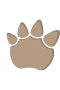 Dinopote 3