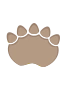 Dinopote 4