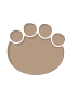 Dinopote 5