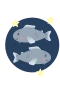 Fiskene