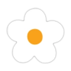 Hvit blomst